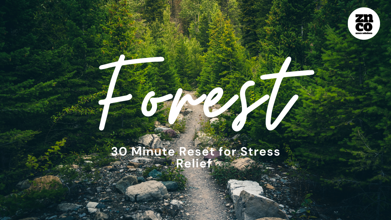 Load video: Sometimes you just need a moment to reconnect and start again.This 30-minute forest reset is designed to help you slow your thoughts, breathe a little deeper, and create space for clarity. A steady, natural soundscape to support a calm reset without needing hours.Best used for:• Morning routines or fresh starts• Midday resets and mental clarity• Meditation or quiet reflection• Grounding between busy momentsNo looping. No pressure. Just enough time to reset.